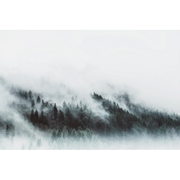 Flanc de montagne sous la brume